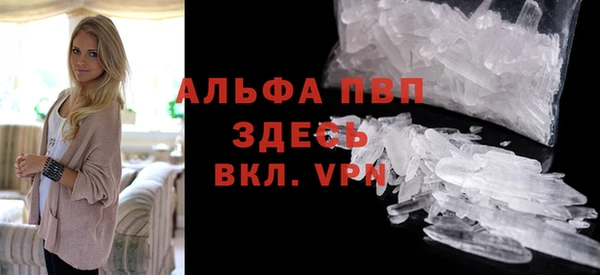 хмурый Абаза