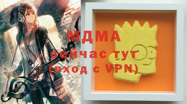 хмурый Абаза