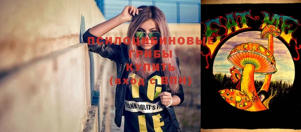 соль ск Абинск